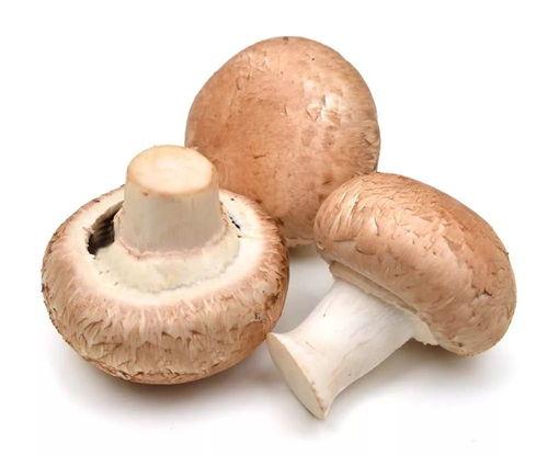 吃瓜网曝揭秘黑料蘑菇入口,蘑菇入口背后的惊人真相