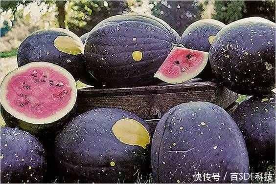 17c黑料免费吃瓜,免费吃瓜背后的真相大揭秘