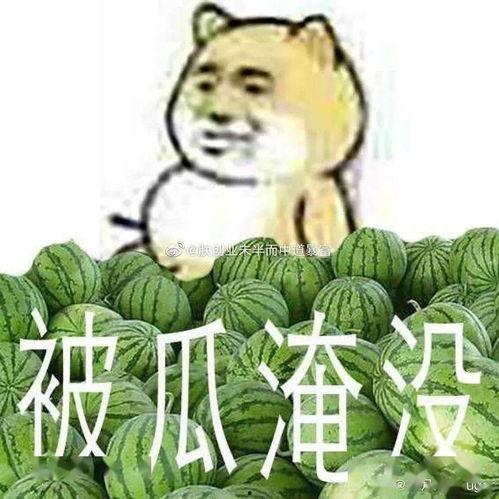 吃瓜黑料新闻,吃瓜黑料背后的真相与反思