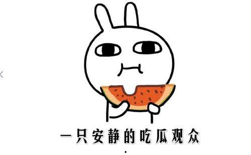 黑料吃瓜什么意思
